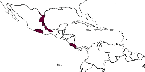 map of Corsoncus minori     Gauld & Bradshaw, 1997